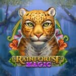 Rainforest Magic