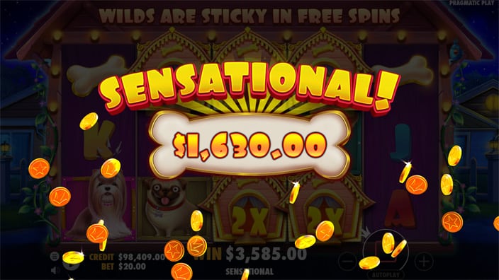 &ldquo;Sensational!&rdquo; win message over bone-shaped banner with coins flying across the screen.
