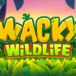 Wacky Wildlife