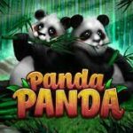 Panda Panda