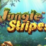Jungle Stripes
