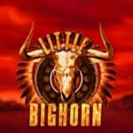 Little Bighorn