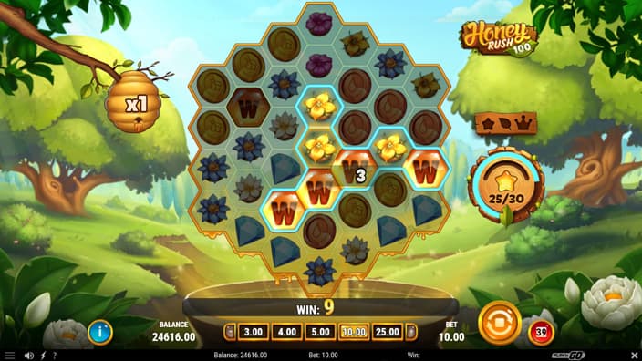 Honey Rush 100 slot sticky wild feature Honey Rush 100 slot sticky wild feature