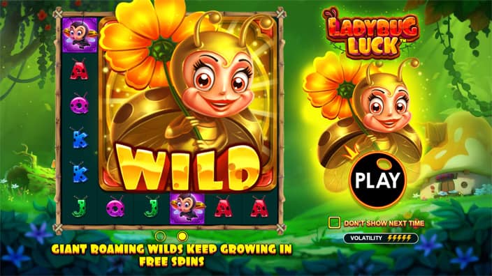 Ladybug Luck slot features Ladybug Luck slot features