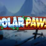 Polar Paws