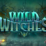 Wild Witches