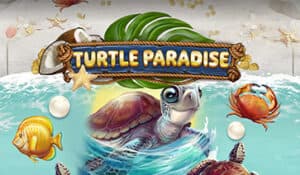 Turtle Paradise