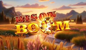 Bison Boom