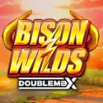 Bison Wilds DoubleMax