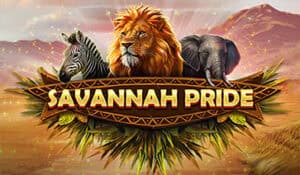 Savannah Pride
