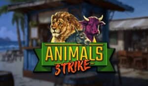 Animals Strike