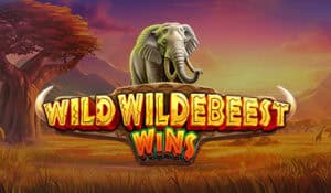 Wild Wildebeest Wins