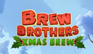 Brew Brothers Xmas Brew