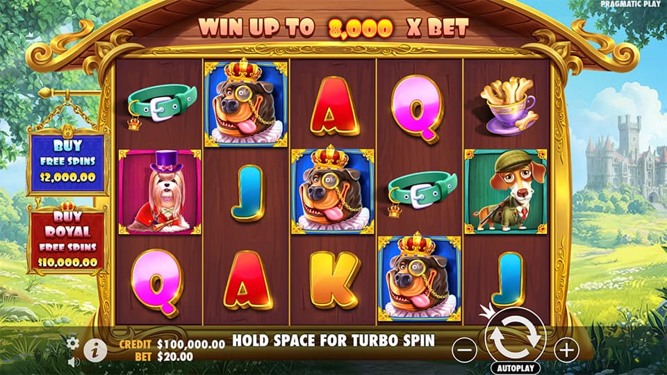 Preview of The Dog House Royal Hunt slot showing reels with royal dogs, dog collars and themed symbols.