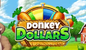 Donkey Dollars