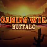 Roaming Wild Buffalo