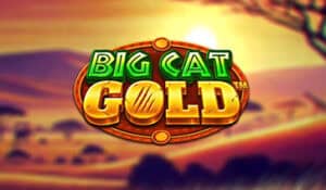 Big Cat Gold