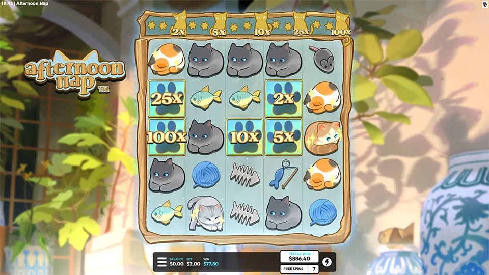 Afternoon Nap slot bonus round showing various wild paw symbols with multipliers up to 100x across the reels.