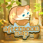 Afternoon Nap