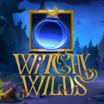 Witchy Wilds