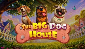 The Big Dog House