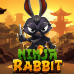 Ninja Rabbit