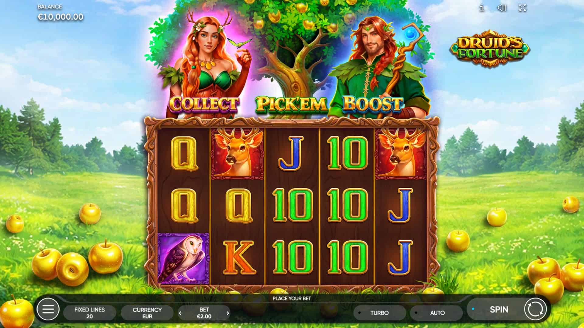 Druid's Fortune slot gameplay reels