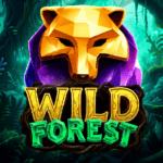 Wild Forest