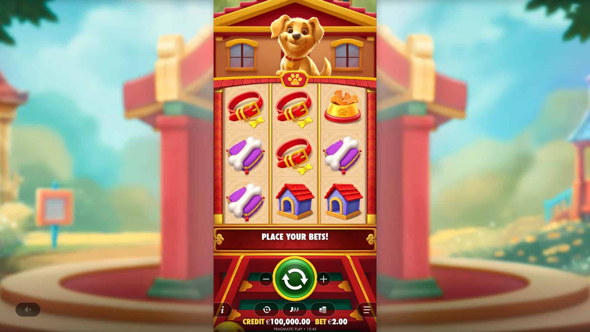 Cachorro Sortudo slot gameplay reels