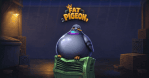 Fat Pigeon